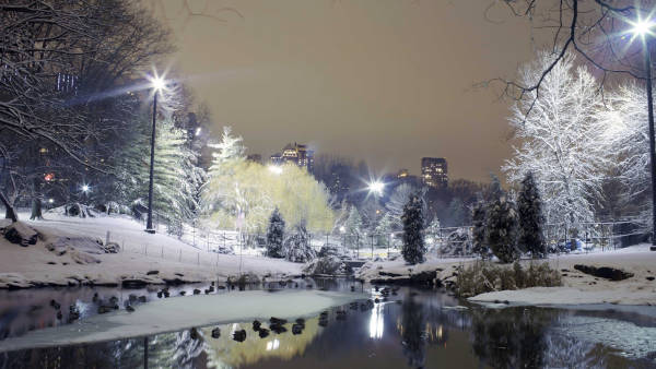 city-park-hd-backgrounds-for-windows-10