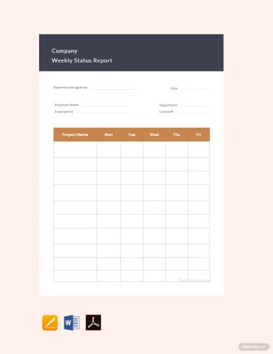 company weekly status report template