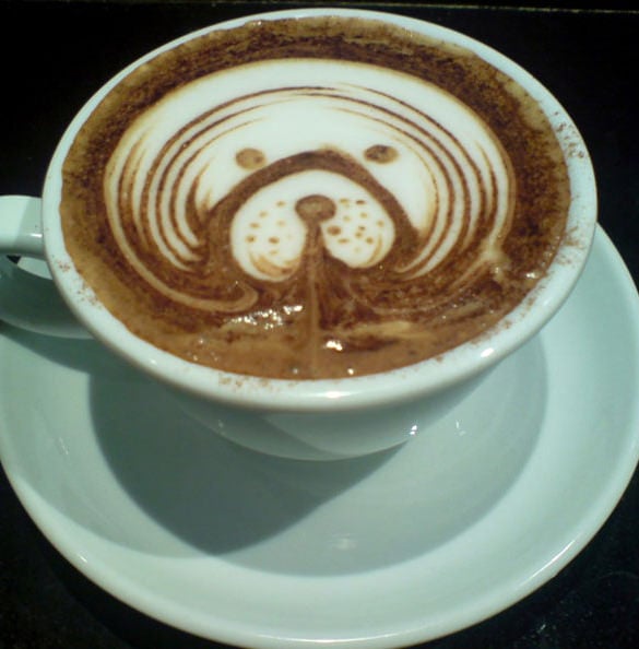 dog latte coffee design