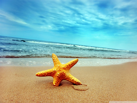 31+ Beach Backgrounds - PSD, JPEG, PNG | Free & Premium Templates