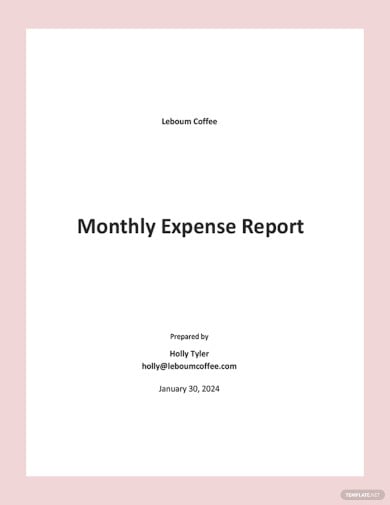 editable monthly expense report template