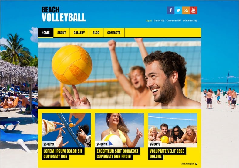 flat volleyball wordpress theme 788x