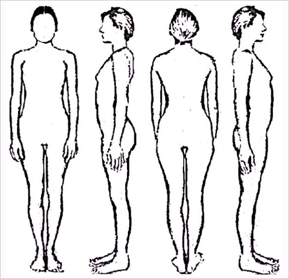 free human body outline drawing