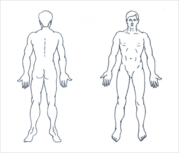 Featured image of post Male Blank Human Body Outline - The male human body outline is a graphic sketch of the male human body.