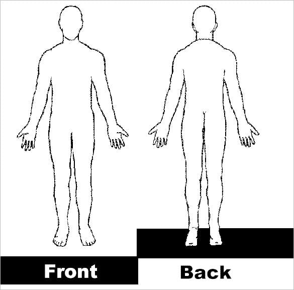 front back human body outline template example