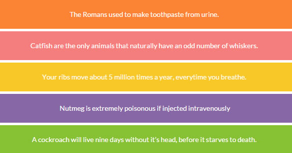 20+ Funny Interesting Random Facts!