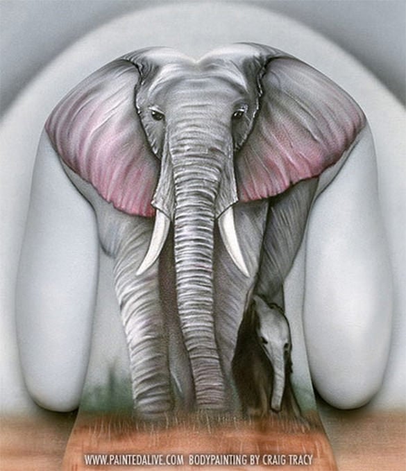 great 3d animal body painting