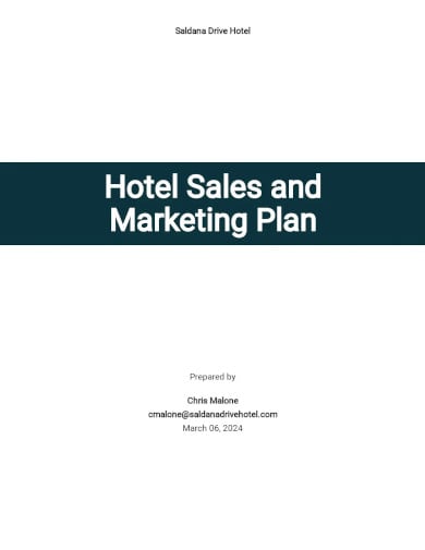 hotel sales and marketing plan template
