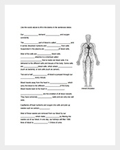 Human-Body-Classroom-Activities-Template