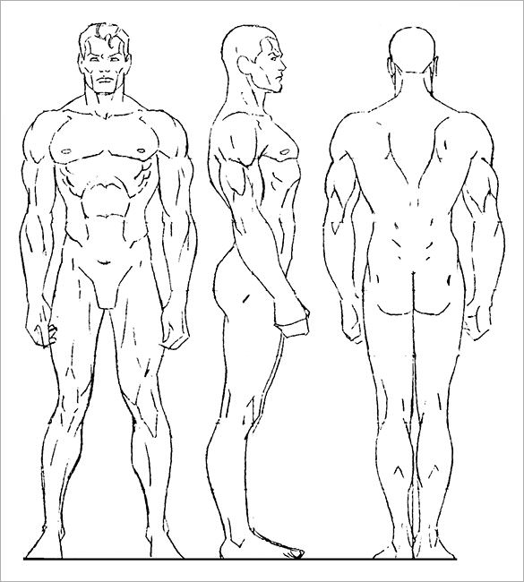 male human body outline drawing template sample