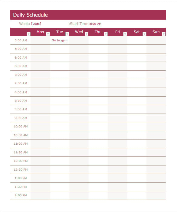 excel daily schedule template