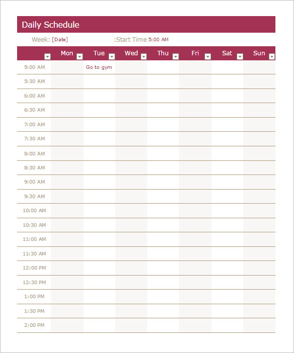 Excel Daily Schedule Template Agilegulu