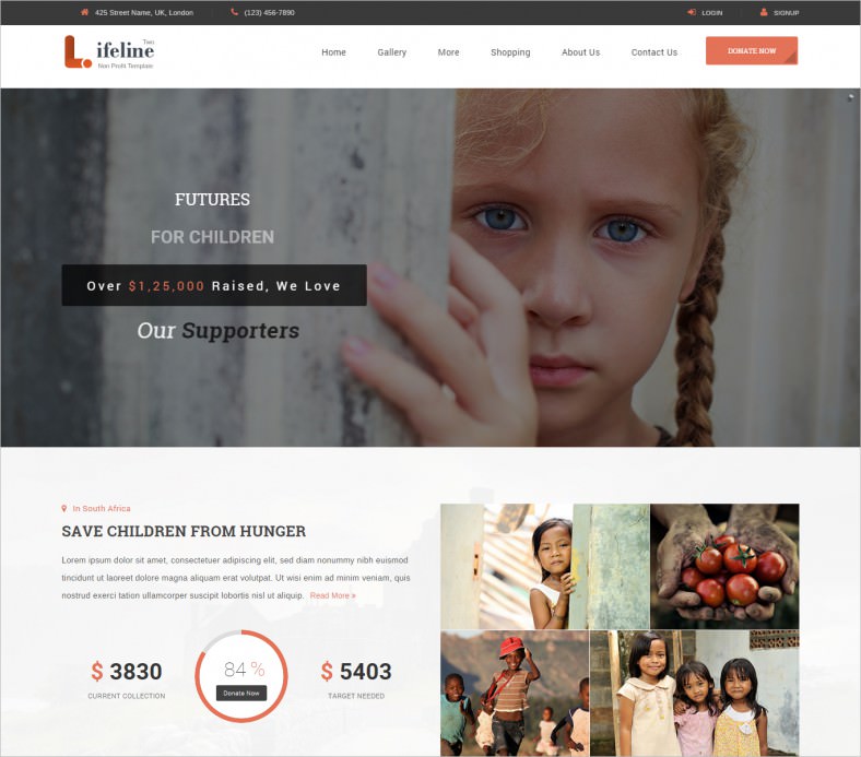 34+ Non Profit Website Themes & Templates