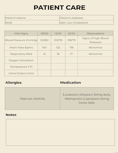 15 Patient Chart Templates Doc Pdf Excel Free And Premium Templates 5710