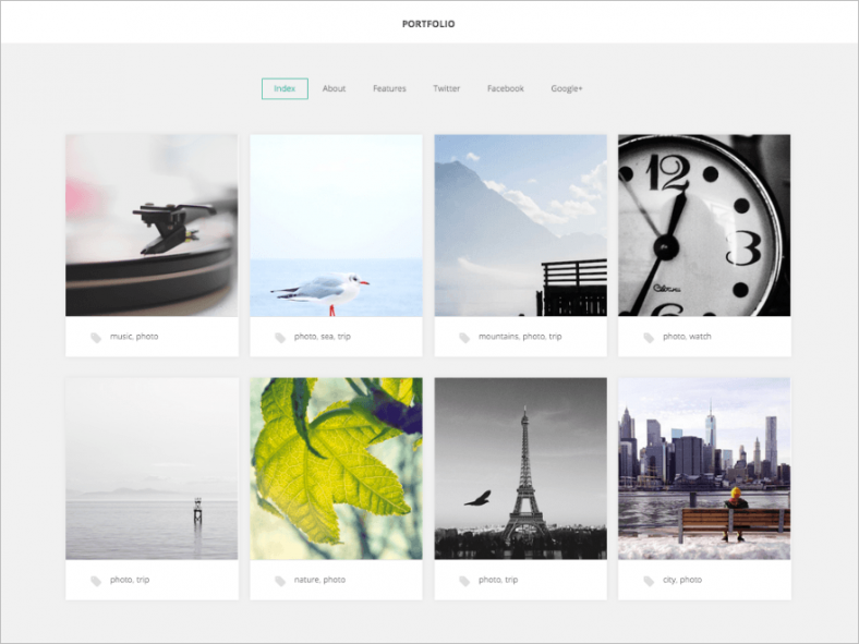 photographer designer portfolio wp theme free download 788x