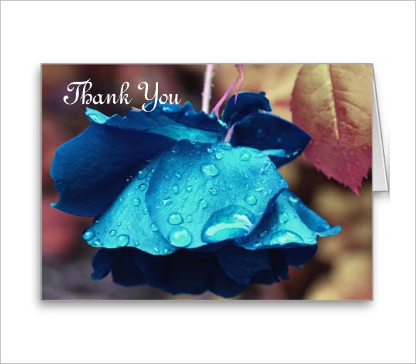 photography thank you card