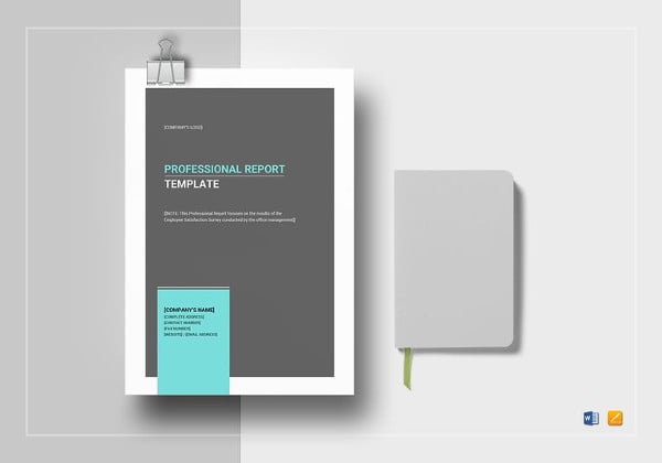 professional report design template