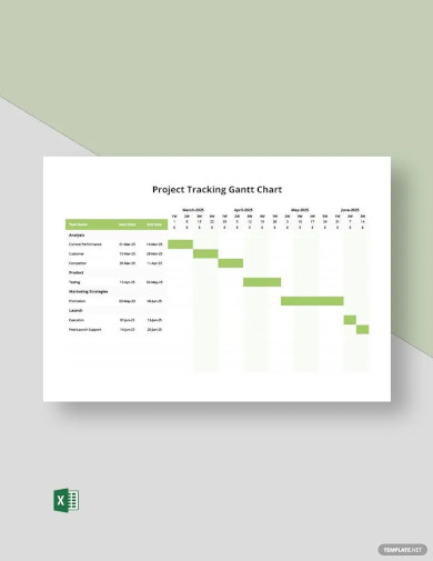 project tracking gantt chart template