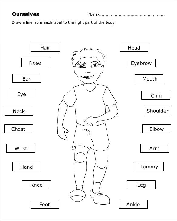 Body Template Outline (Boy or Girl)  A to Z Teacher Stuff Printable Pages  and Worksheets