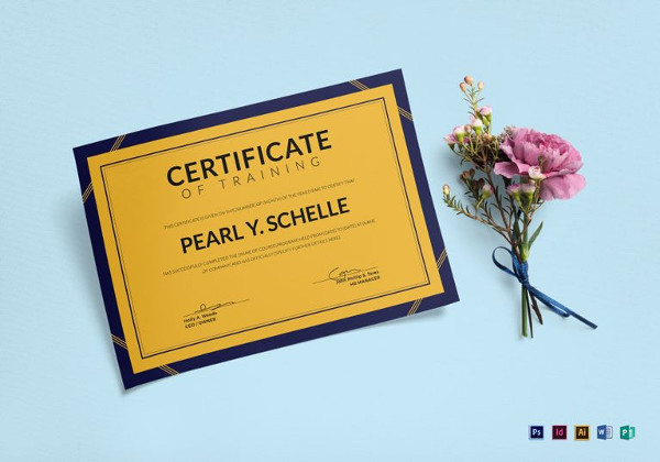 sample training certificate template