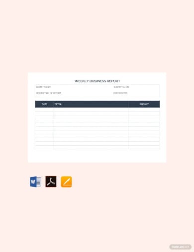 sample weekly business report template