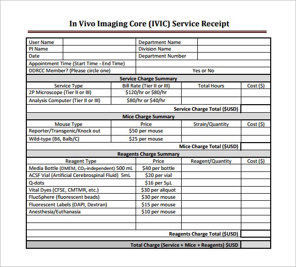 18+ Service Receipt Templates DOC, PDF Free & Premium Templates