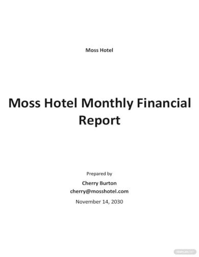 simple monthly financial report template