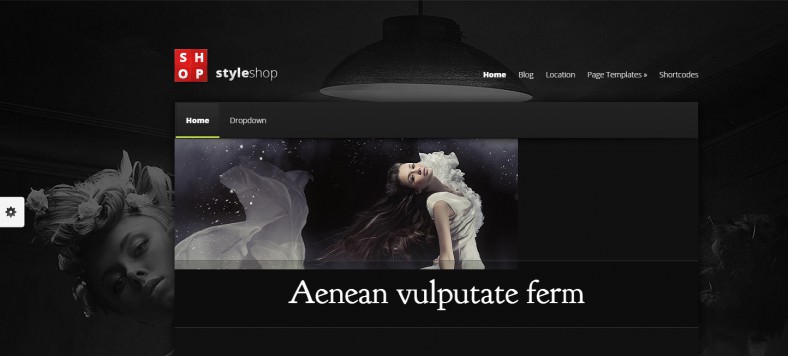 styleshop ecommerce wordpress theme 788x