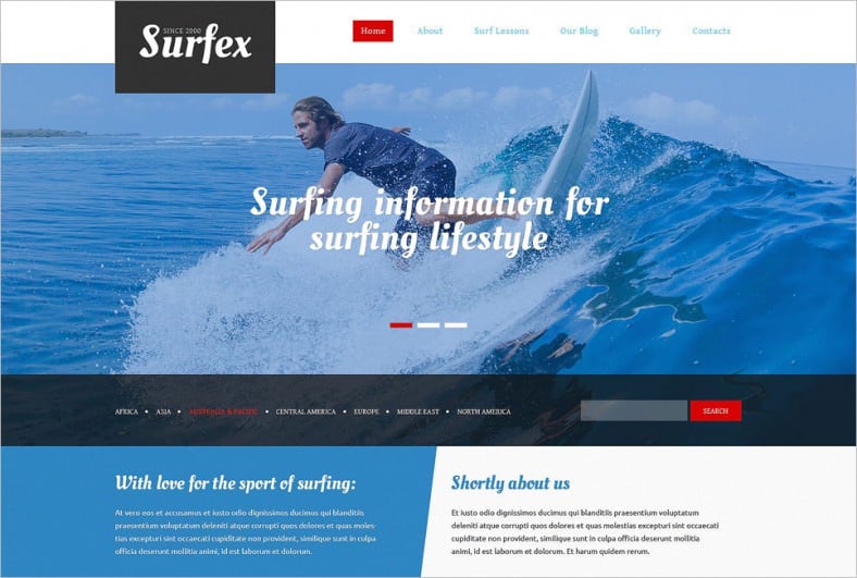 surfing responsive drupal template 788x
