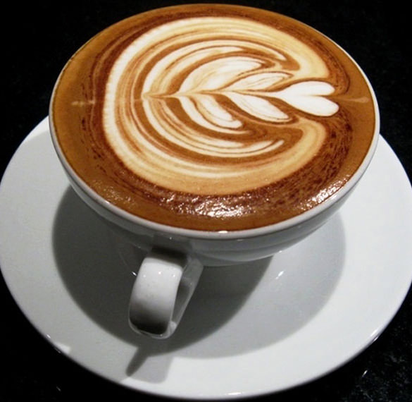 tulip coffee