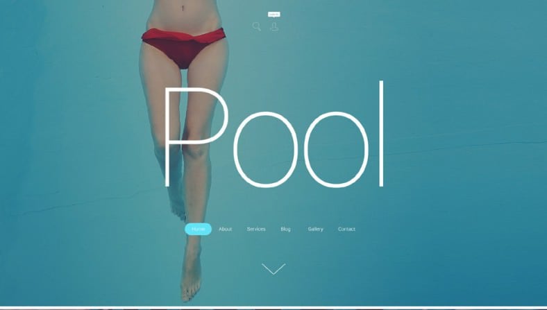 wordpress theme for pool cleaning 788x