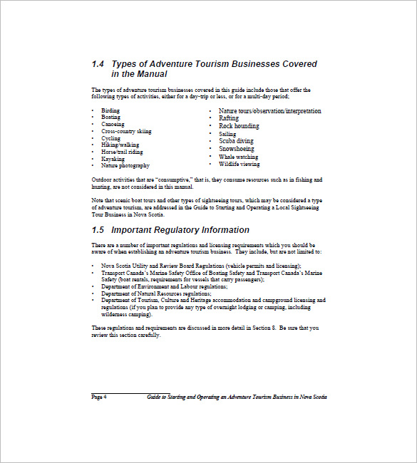 travel agency business plan sample