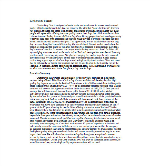 15  Daycare Business Plan Template Free Word Excel PDF Format Download