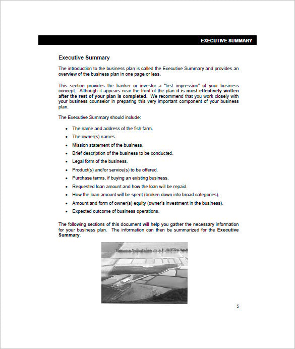 fish business plan template
