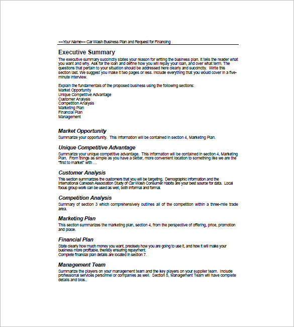 19+ Car Wash Business Plan Template Word, Excel, PDF Format Download
