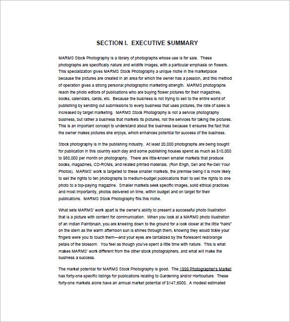 Photography Business Description Sample Master Of Template Document
