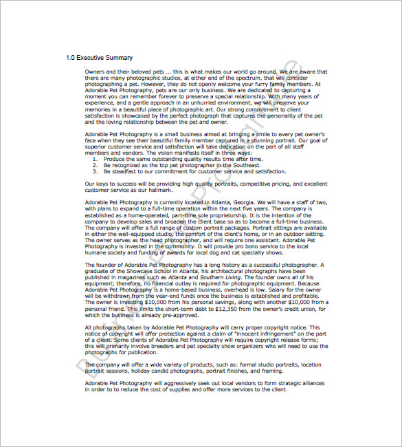 Photography Business Plan Template 12 Free Word Excel PDF Format
