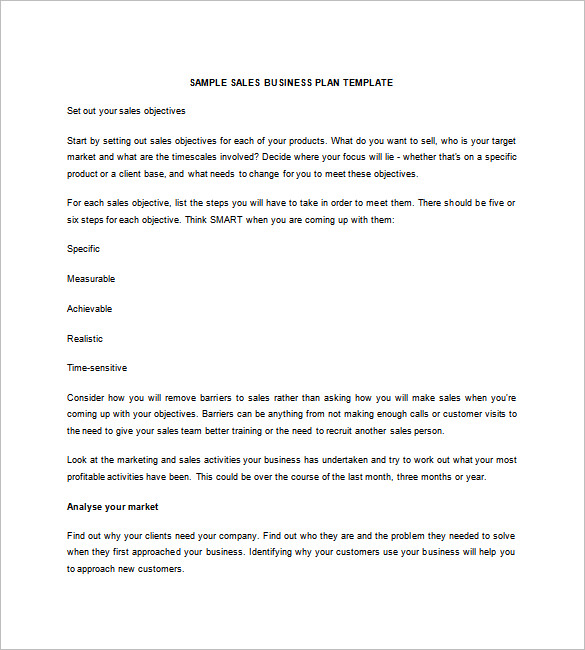 Sales Business Plan Template 16 Word Excel PDF Format Download