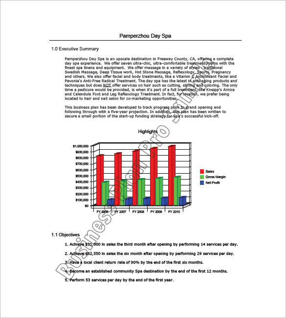 spa business plan template