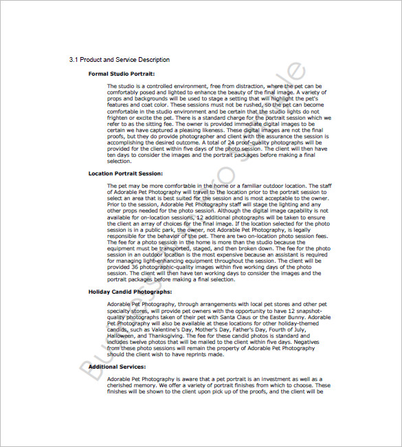 Photography Business Description Sample Classles Democracy