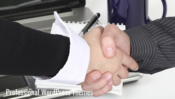 professional wordpress themes professional wordpress themes