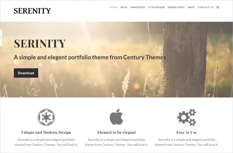 serenity creative wordpress theme 788x