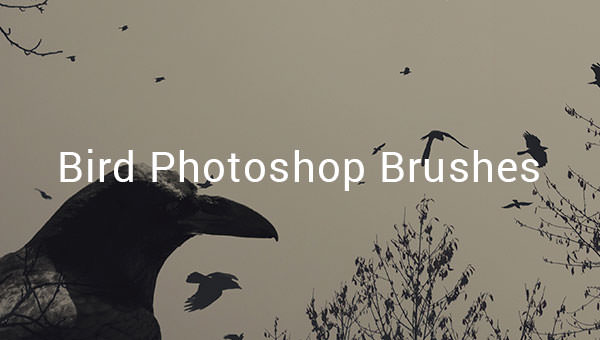 adobe photoshop birds brushes free download