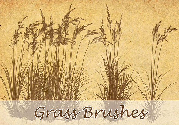 240 Photoshop  Grass  Brushes  Free Vector EPS ABR AI 