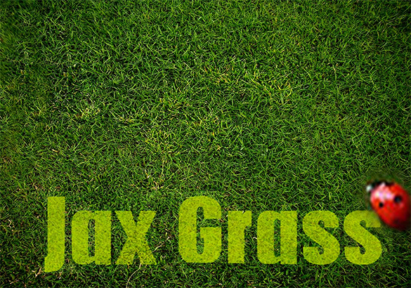 beautiful photoshop grass brushes free download