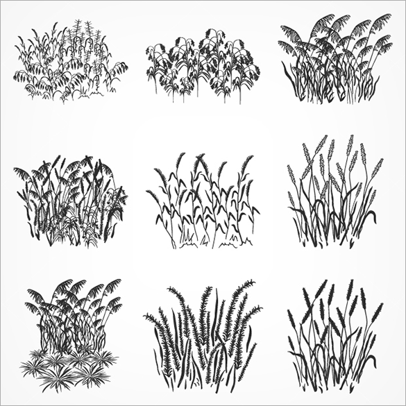 240+ Grass Brushes Free Vector EPS, ABR, AI Format Download
