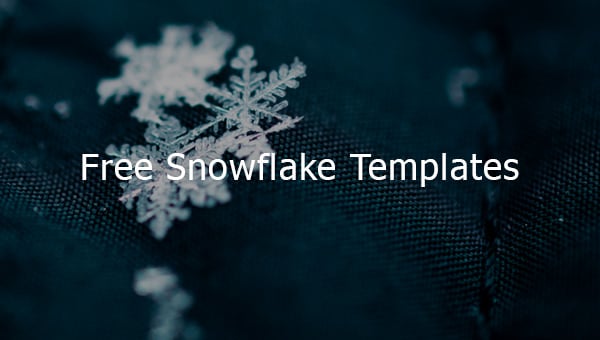 snowflake pro software for free