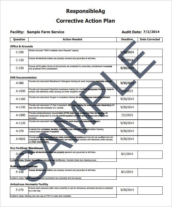 apparel corrective action plan sample template