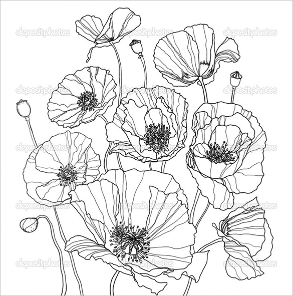 18+ Poppy Coloring Pages - PDF, JPG