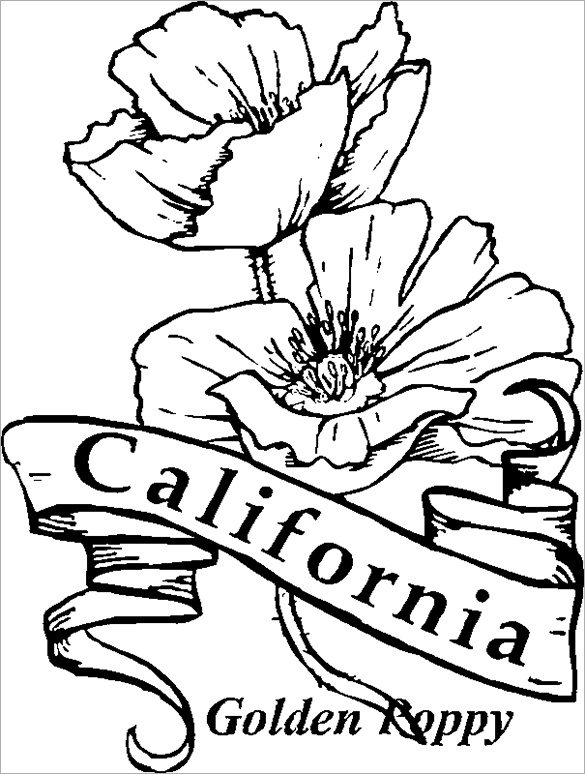 printable-california-flag-poppy-coloring-page